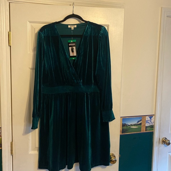 Costco NEW Briggs green velvet dress size 16. Costco NEW Briggs green velvet dress size 16.